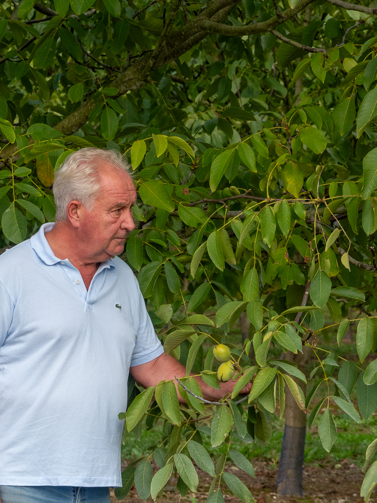 photo d'un homme dans les champs de noyé